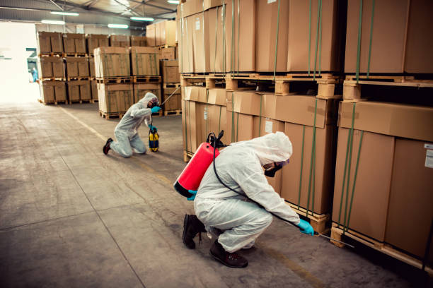Reliable Prairie Village, KS Pest Control Solutions