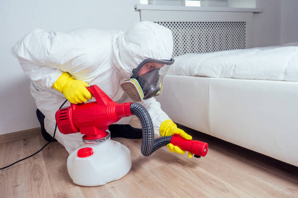 Best Pest Control Near Me in Prairie Village, KS