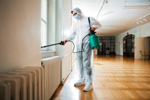 Best Termite Control Services  in Prairie Village, KS