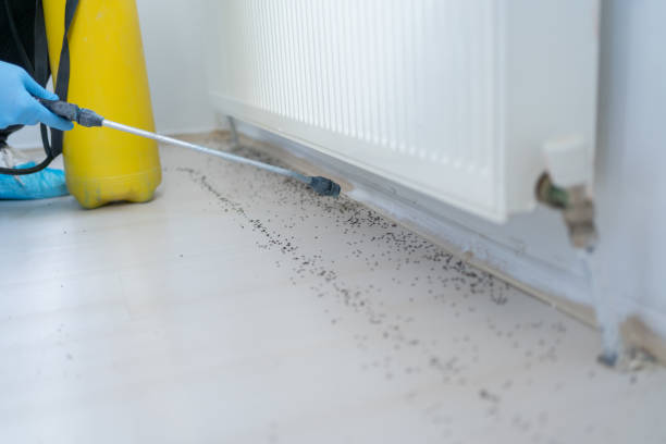  Prairie Village, KS Pest Control Pros