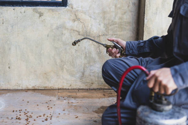 Best Pest Removal Services  in Prairie Village, KS